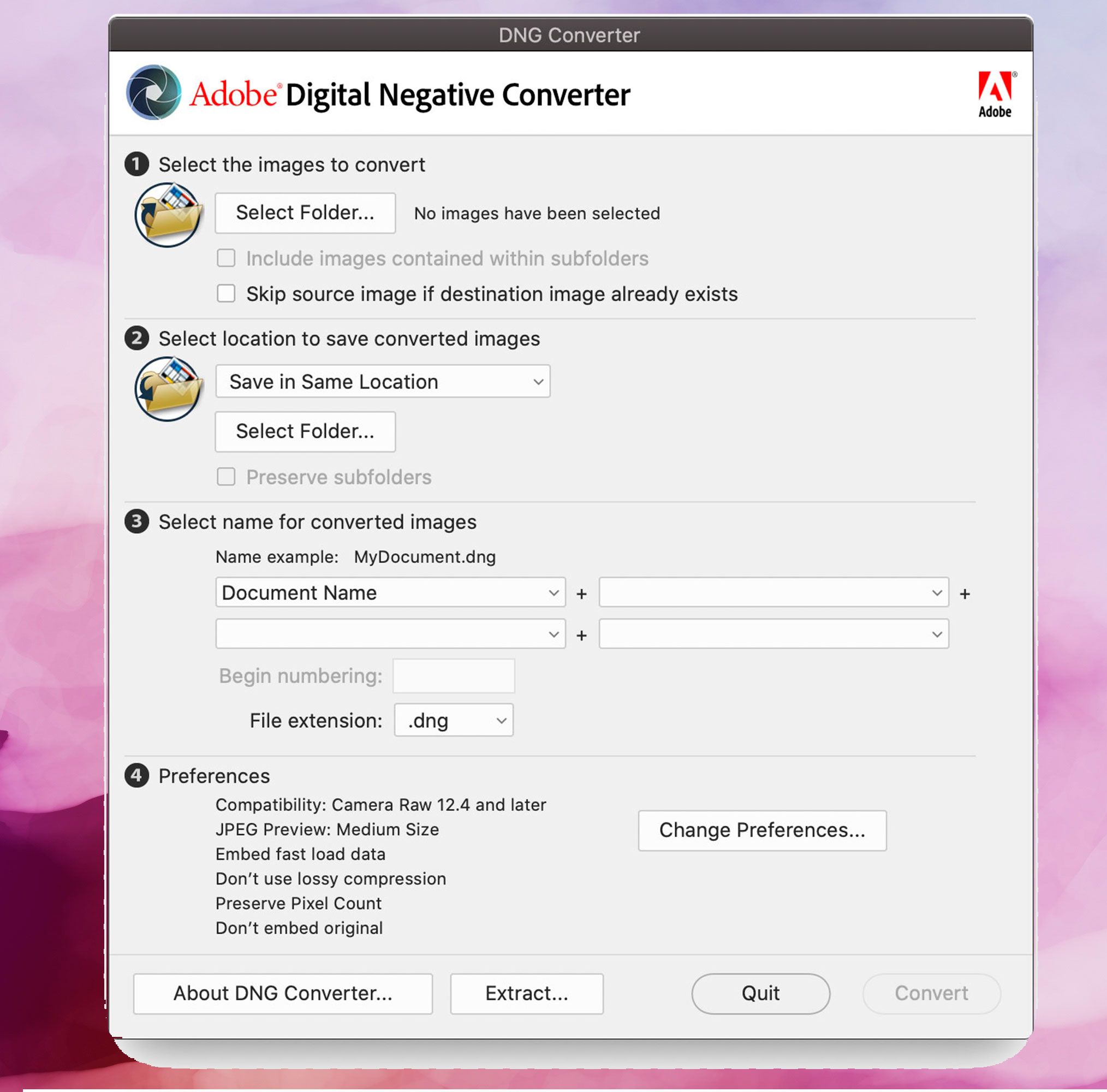 Captura de tela do Adobe DNG Converter, converter imagens DNG para JPEG..