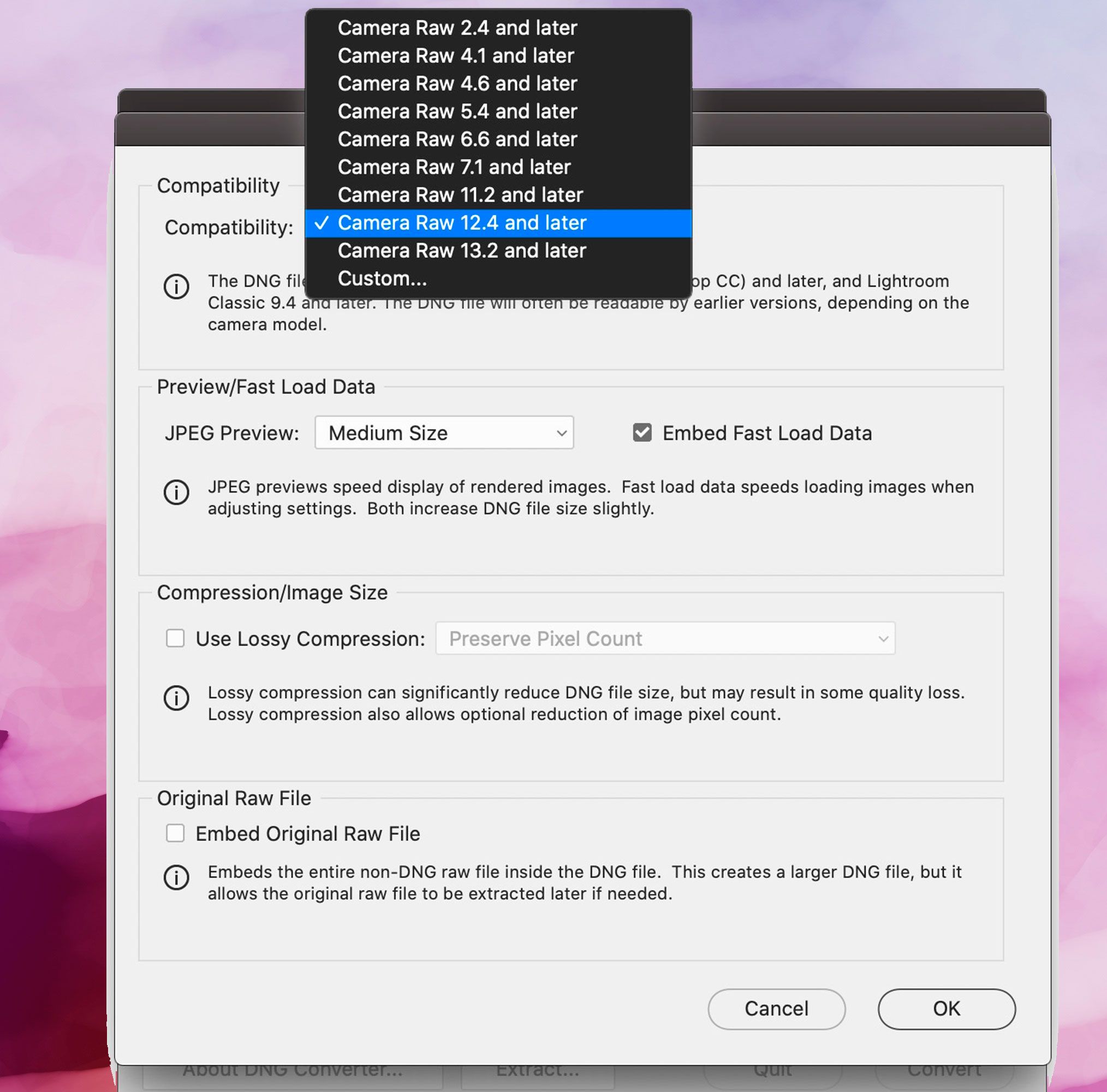 Captura de tela do Adobe DNG Converter, preferências de compatibilidade..