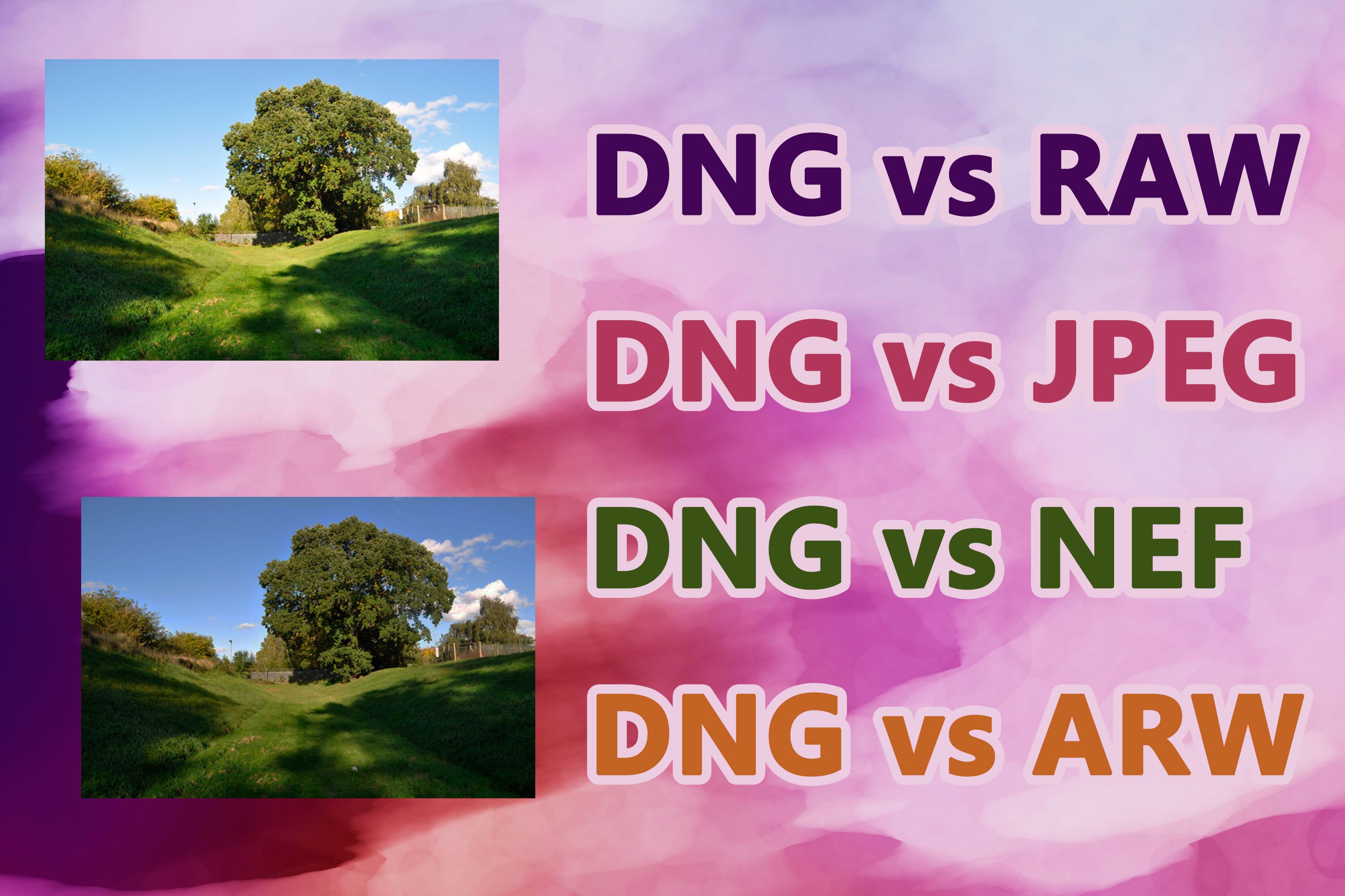 Formatos DNG vs RAW..