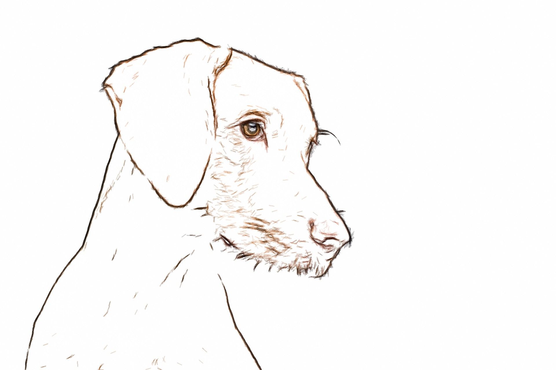 Desenho de linha de foto de cachorro..