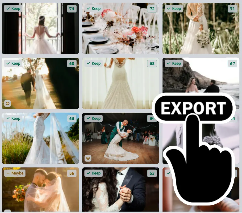 Exportar resultados.