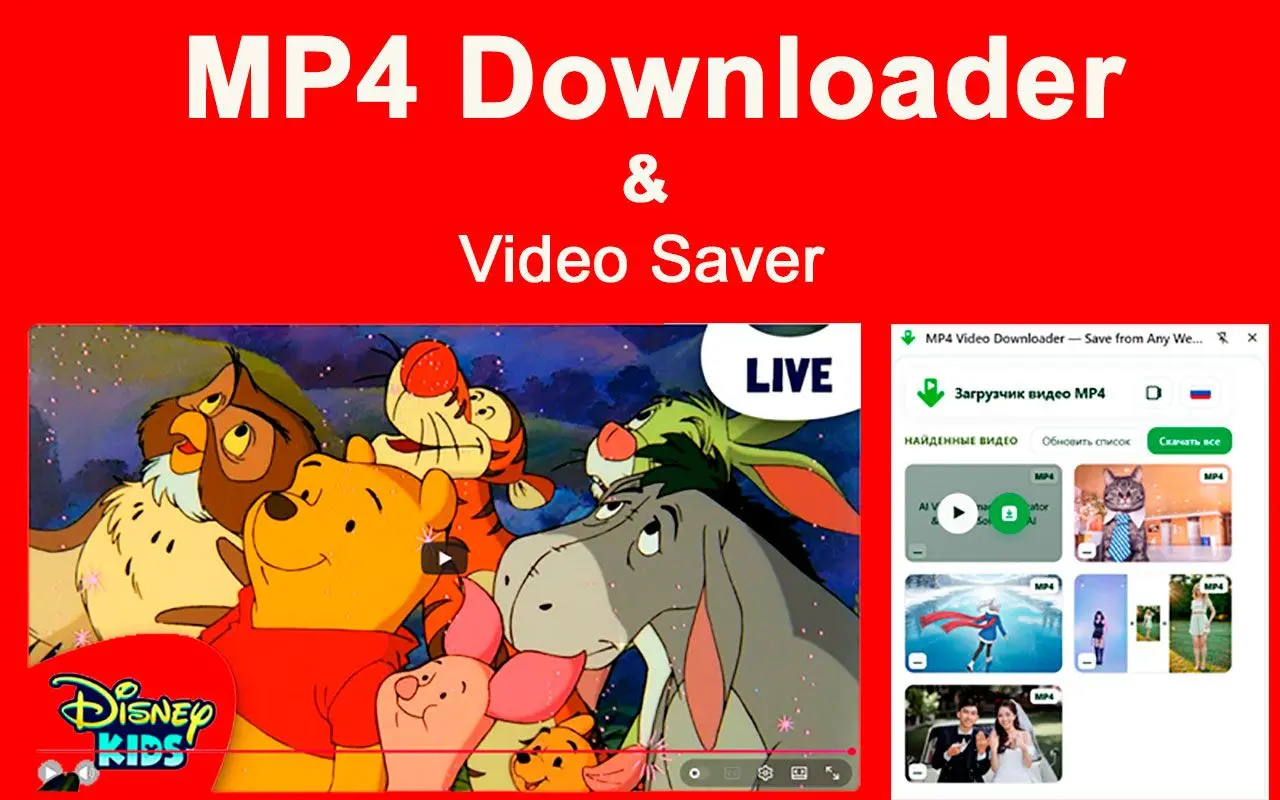 Limites do MP4 Downloader & Chrome extension.