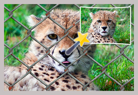 Photo Stamp Remover Captura de tela