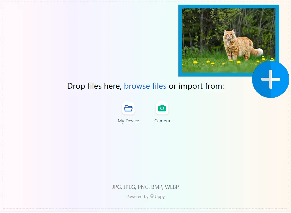 Carregue uma Imagem de Referência.