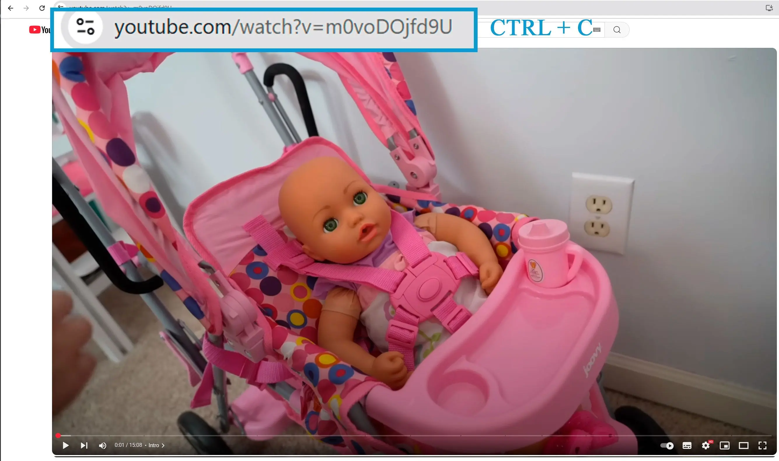 Copie o URL do seu vídeo do YouTube.